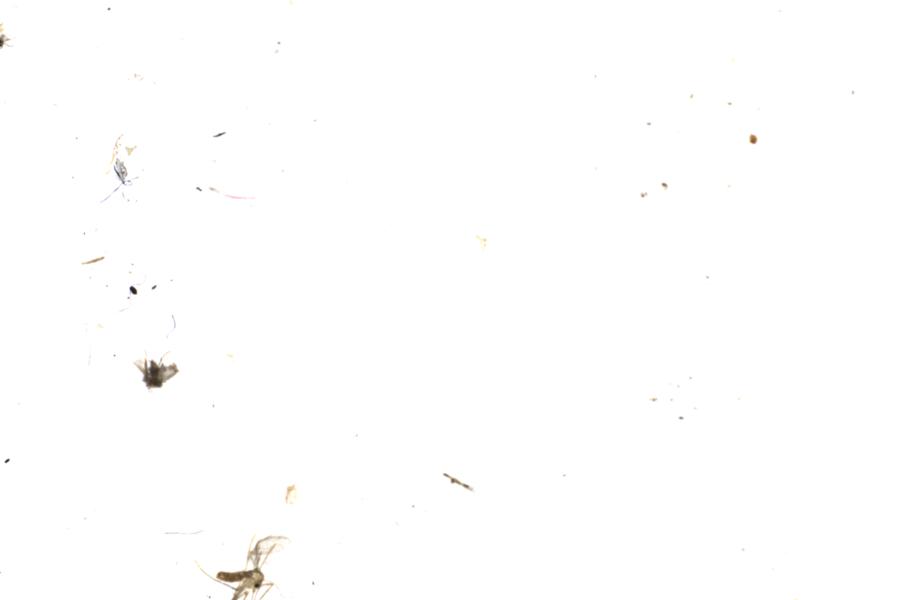 Image 63